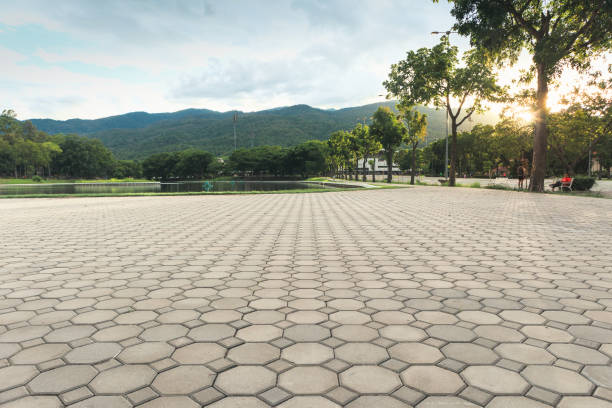 Best Local Driveway Pavers  in Coventry Lake, CT